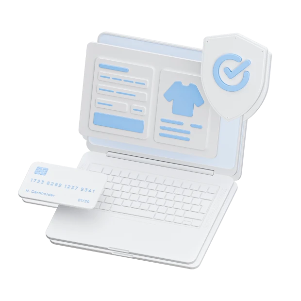 Payment Services for Large E-Commerce Operators